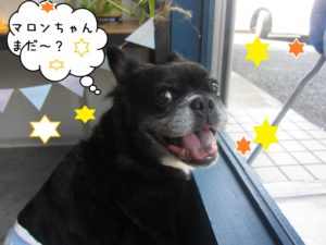 施術後ミックス