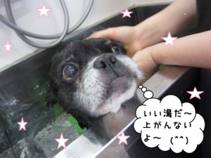 スパ中ミックス