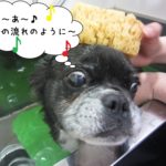 スパ中のんびりミックス