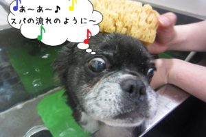 スパ中のんびりミックス