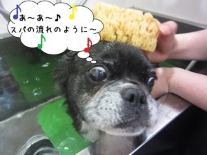 スパ中のんびりミックス