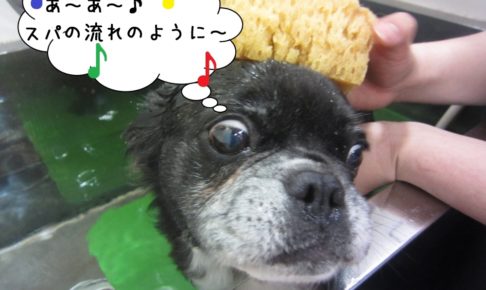 スパ中のんびりミックス