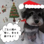 サンタクロースMシュナ