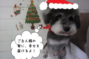 サンタクロースMシュナ