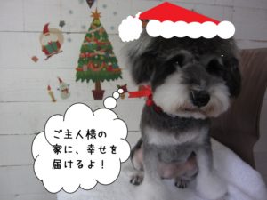 サンタクロースMシュナ