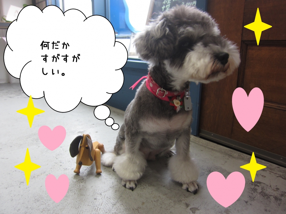 おすましMシュナ