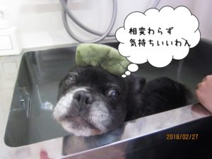 スパ中ミックス