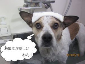 スパ中ミックス