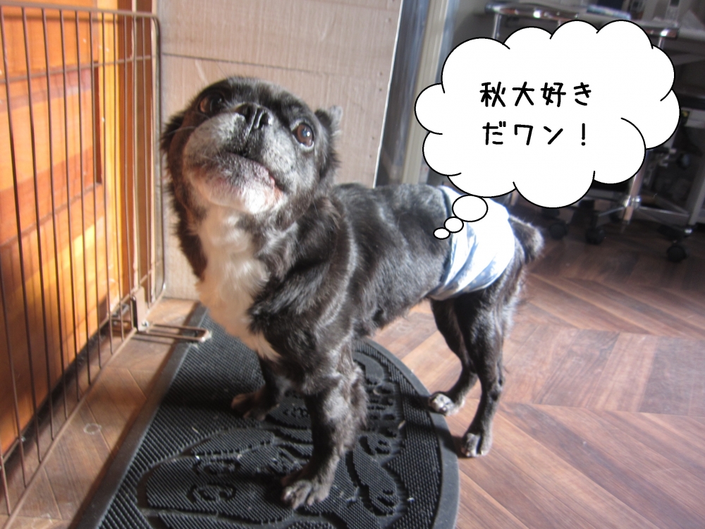 横からミックス