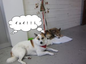 施術後ミックス