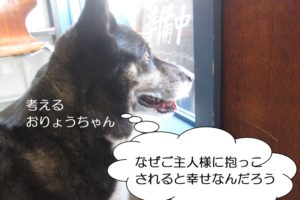 考えるW・コーギー