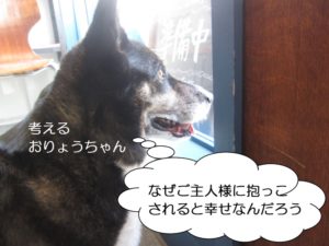 考えるW・コーギー