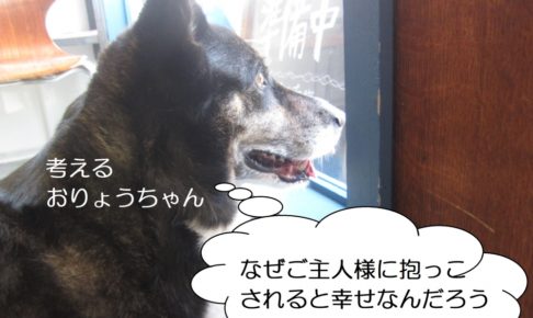 考えるW・コーギー