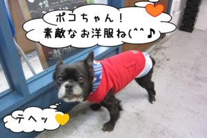 可愛い洋服ミックス