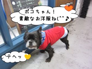 可愛い洋服ミックス