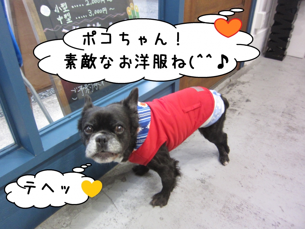 可愛い洋服ミックス