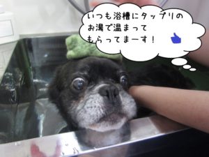 スパ中ミックス