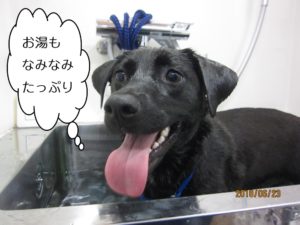 スパ中ミックス