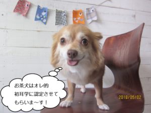 正面笑顔ミックス