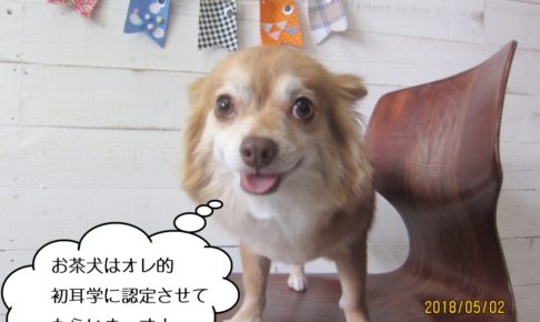 正面笑顔ミックス