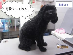 カット前ミックス