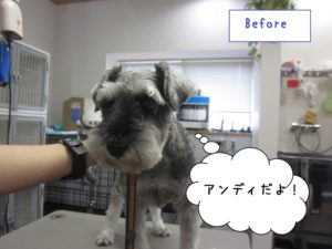 カット前Mシュナ