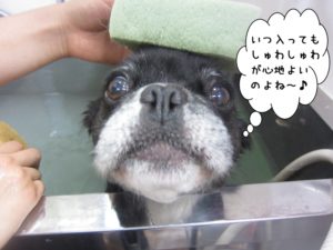 スパ中ミックス