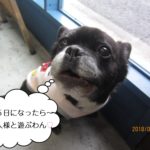 振り向きミックス