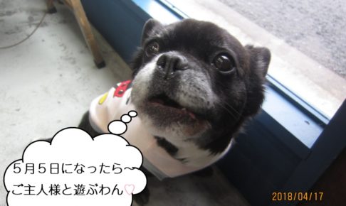 振り向きミックス