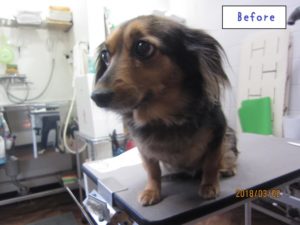 カット前ミックス