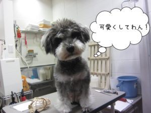 カット前Mシュナ