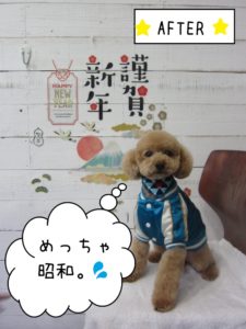 謹賀新年トイプードル