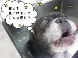 スパ中ミックス