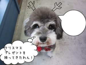 上目遣いMシュナ