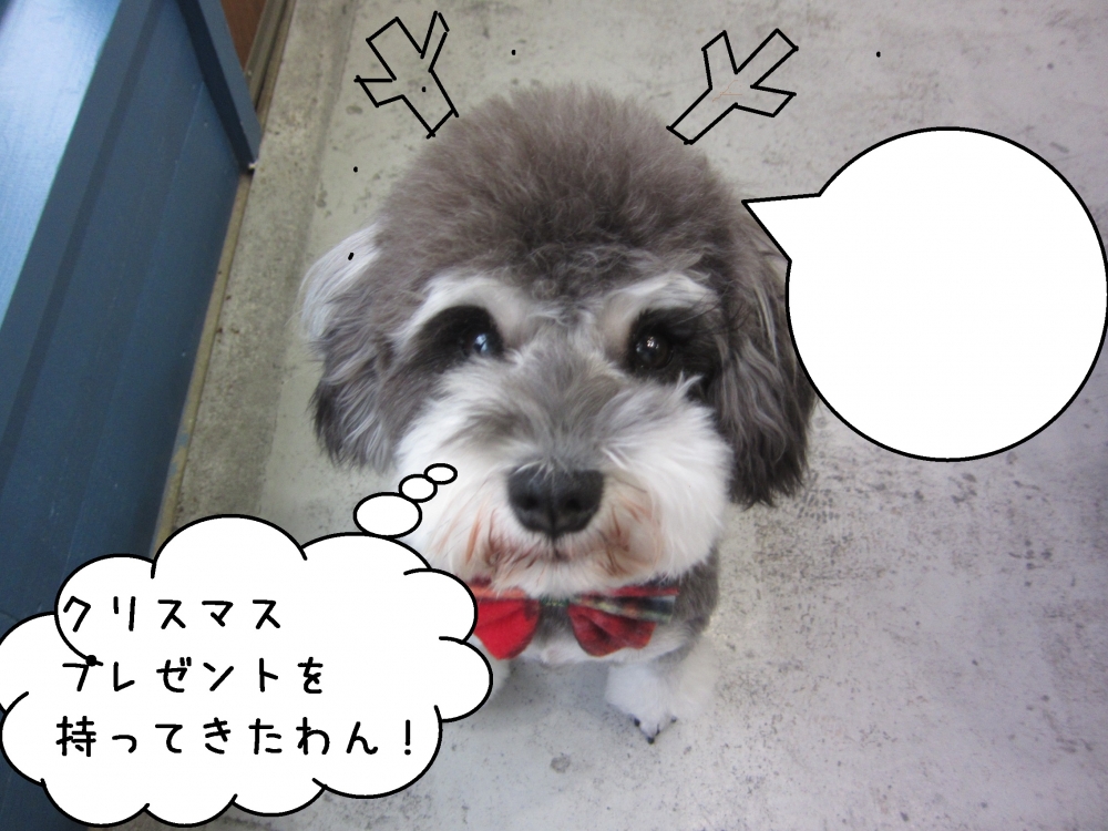 上目遣いMシュナ