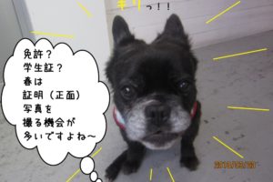 キリッミックス