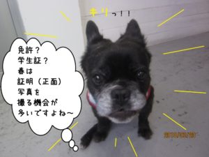 施術後ミックス