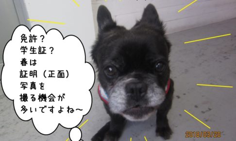 キリッミックス