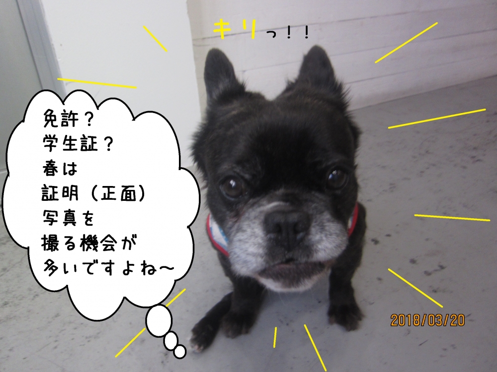 キリッミックス