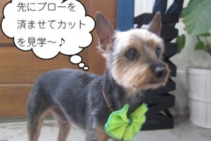 きりっミックス