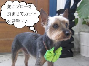 きりっミックス