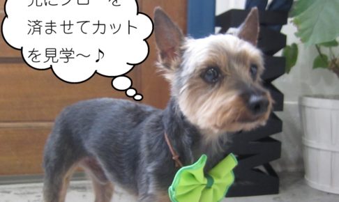 きりっミックス