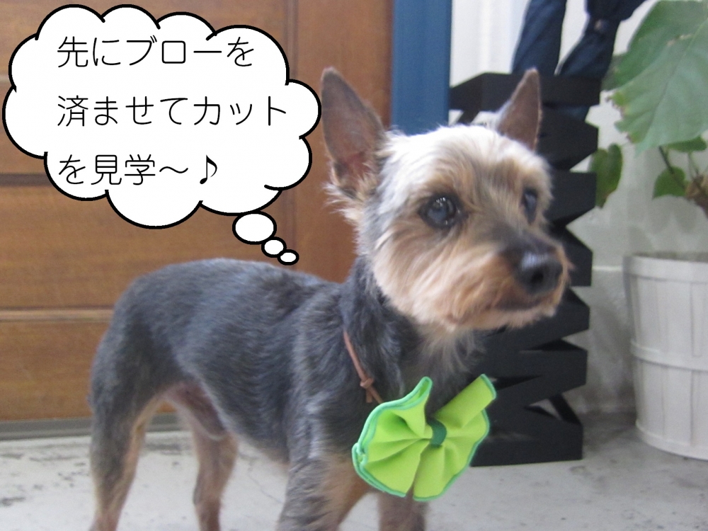 きりっミックス