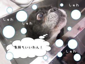 スパ中ミックス