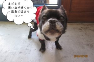 えっへんミックス