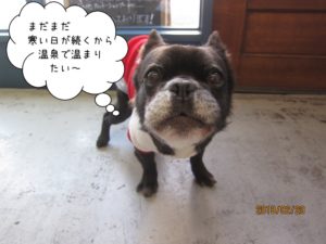 えっへんミックス