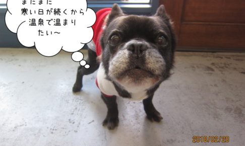 えっへんミックス