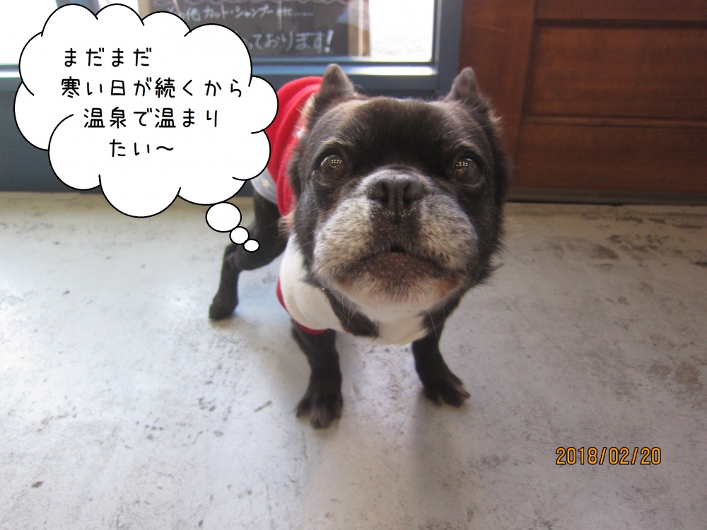 えっへんミックス