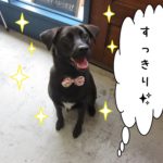 すっきりミックス