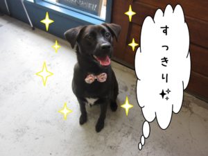 すっきりミックス